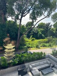 Whitley Road (D11), Terrace #452702771